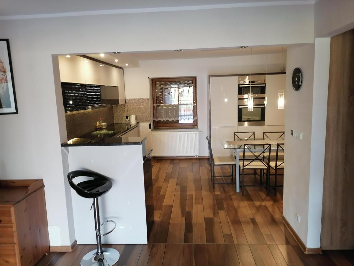Apartamenty Pod Dzikowcem Богушув-Горце Екстер'єр фото