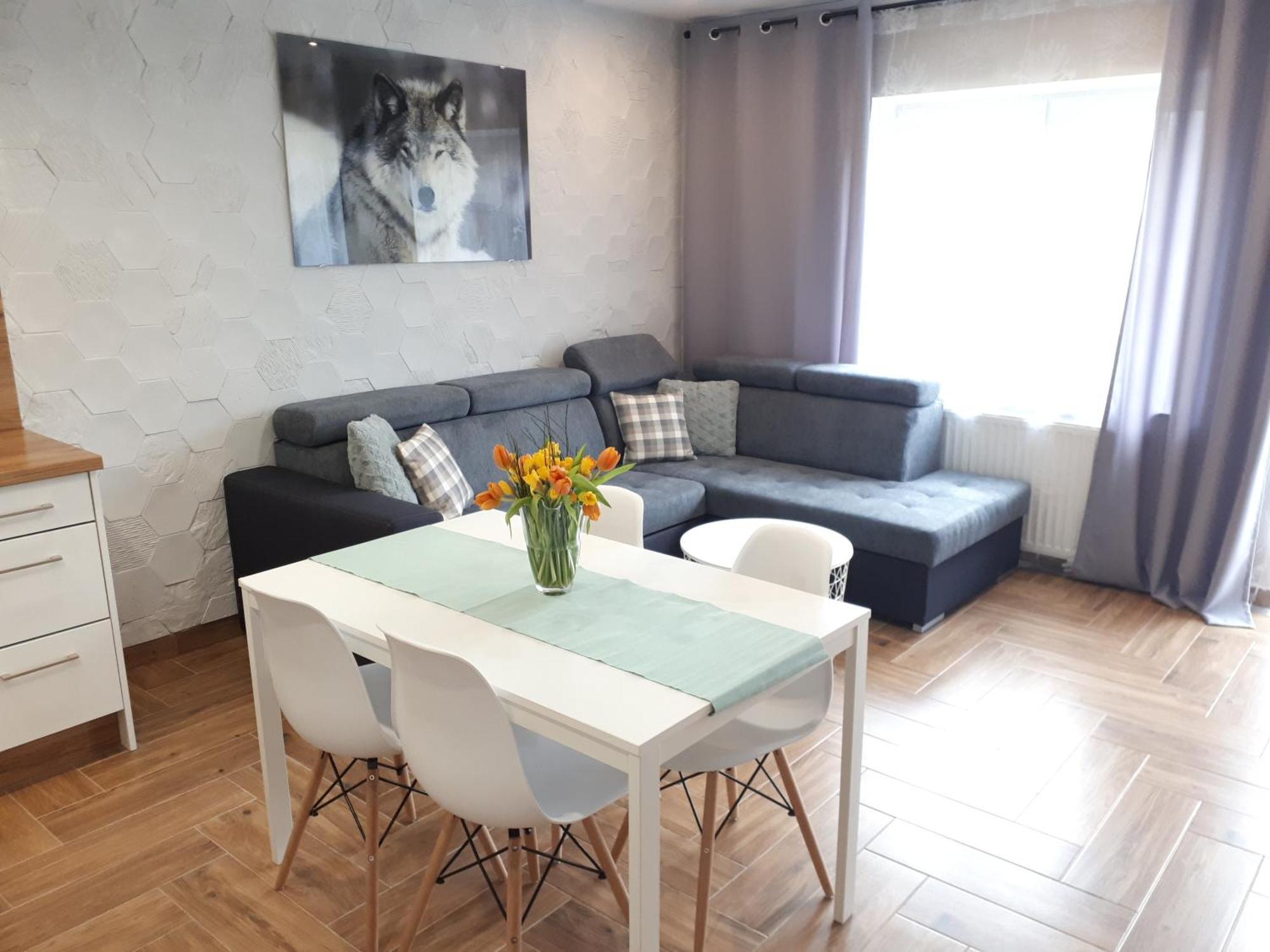 Apartamenty Pod Dzikowcem Богушув-Горце Екстер'єр фото